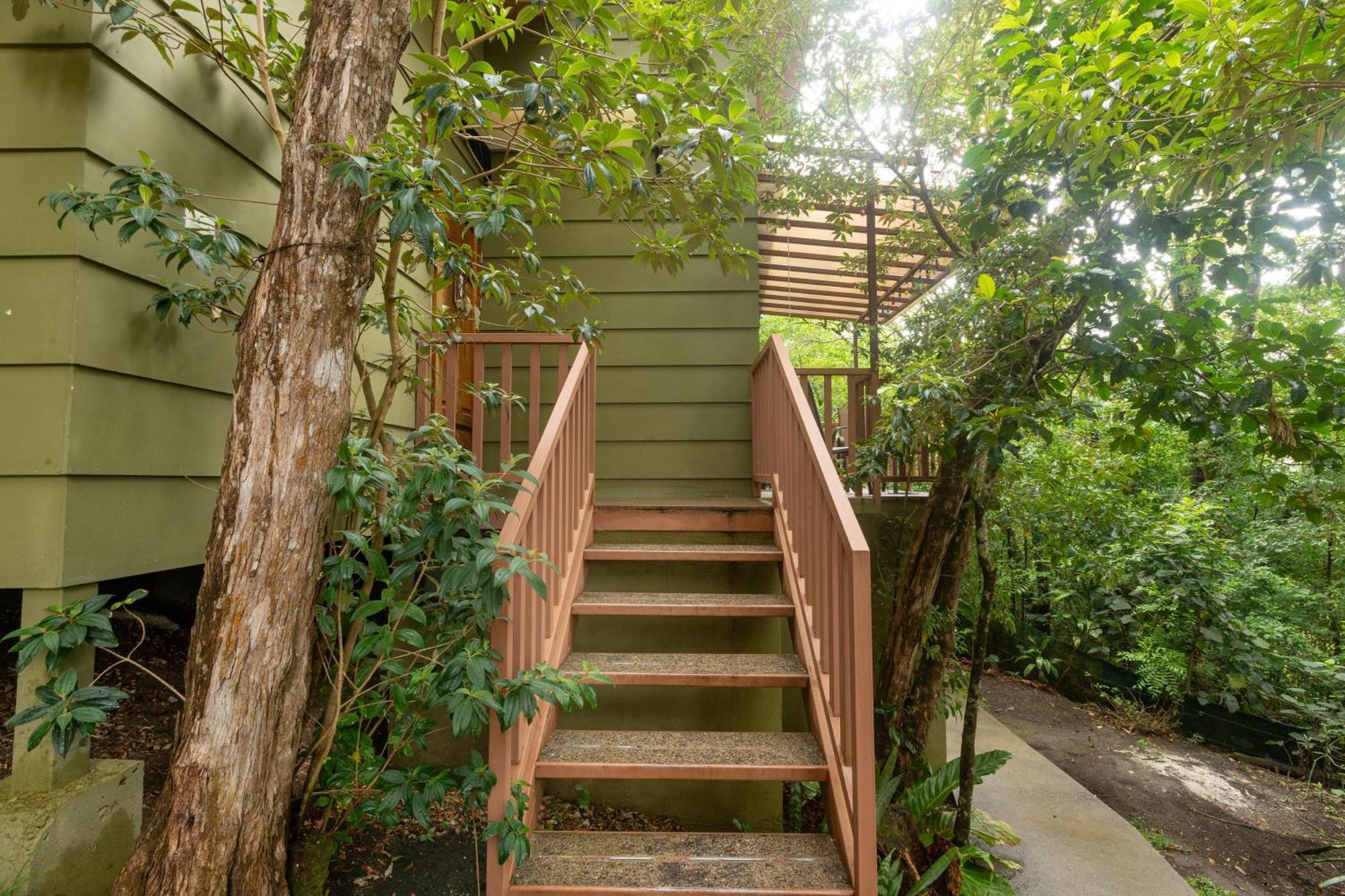 Appartement Casas Clusia à Monteverde Extérieur photo