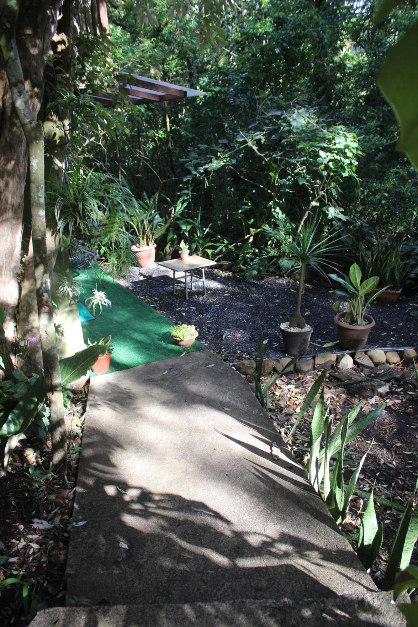 Appartement Casas Clusia à Monteverde Extérieur photo