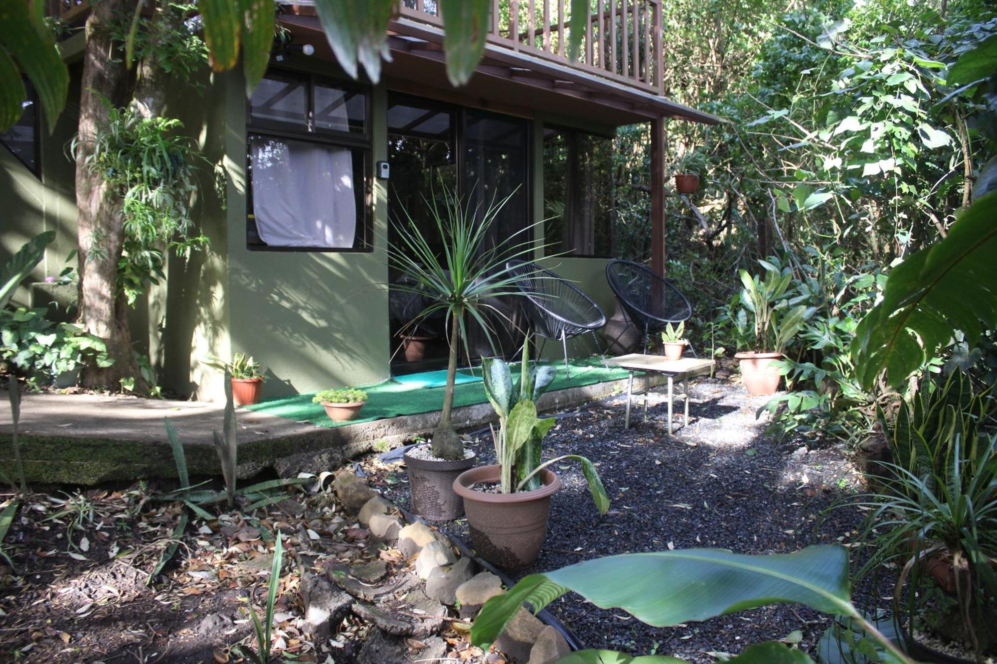 Appartement Casas Clusia à Monteverde Extérieur photo